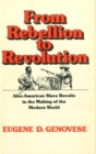 Image for From Rebellion to Revolution : Afro-American Slave Revolts in the Making of the Modern World