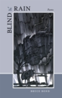 Image for Blind Rain
