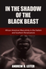 Image for In the Shadow of the Black Beast : African American Masculinity in the Harlem and Southern Renaissances