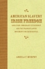 Image for American Slavery, Irish Freedom : Abolition, Immigrant Citizenship, and the Transatlantic Movement for Irish Repeal