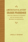 Image for American Slavery, Irish Freedom: Abolition, Immigrant Citizenship, and the Transatlantic Movement for Irish Repeal