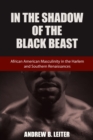 Image for In the Shadow of the Black Beast: African American Masculinity in the Harlem and Southern Renaissances