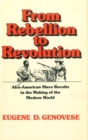 Image for From Rebellion to Revolution: Afro-American Slave Revolts in the Making of the Modern World