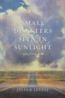 Image for Small Disasters Seen in Sunlight: Poems