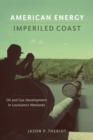 Image for American Energy, Imperiled Coast