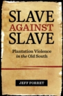 Image for Slave against slave: plantation violence in the old South
