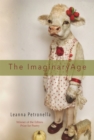 Image for The Imaginary Age : Poems