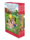 Image for The Boxcar Children Mysteries Boxed Set 1-4 : The Boxcar Children; Surprise Island; The Yellow House; Mystery Ranch