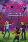 Image for The Secret of the Shadow Bandit