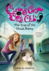 Image for The Trail of the Ghost Bunny