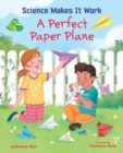 Image for PERFECT PAPER PLANE