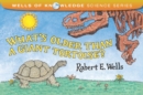 Image for Whats Older Than A Tortoise?