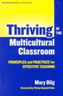 Image for Thriving in the Multicultural Classroom : Principles and Practices of Effective Teaching