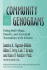 Image for Community Genograms : Using Individual, Family, and Cultural Narratives with Clients