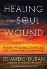 Image for Healing the Soul Wound