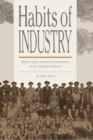 Image for Habits of Industry : White Culture and the Transformation of the Carolina Piedmont