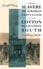 Image for From Slavery to Agrarian Capitalism in the Cotton Plantation South