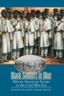 Image for Black Soldiers in Blue