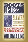 Image for Roots of Secession