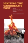 Image for Igniting the Caribbean&#39;s Past : Fire in British West Indian History