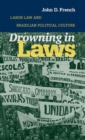 Image for Drowning in laws  : labor law and Brazilian political culture