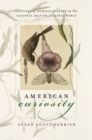 Image for American Curiosity: Cultures of Natural History in the Colonial British Atlantic World