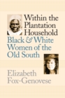Image for Within the Plantation Household : Black and White Women of the Old South