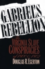 Image for Gabriel&#39;s Rebellion