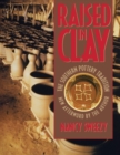 Image for Raised in Clay : The Southern Pottery Tradition