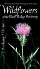 Image for Wildflowers of the Blue Ridge Parkway