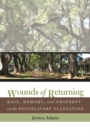 Image for Wounds of Returning : Race, Memory, and Property on the Postslavery Plantation