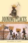 Image for Joining Places : Slave Neighborhoods in the Old South