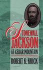Image for Stonewall Jackson at Cedar Mountain.