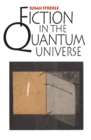 Image for Fiction in the Quantum Universe.