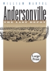 Image for Andersonville : The Last Depot
