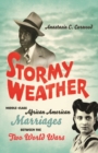 Image for Stormy Weather: Middle-Class African American Marriages between the Two World Wars