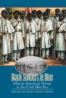 Image for Black soldiers in blue: African American troops in the Civil War era