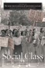 Image for New Encyclopedia of Southern Culture: Volume 20: Social Class : v. 20