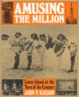 Image for Amusing the Million : Coney Island at the Turn of the Century