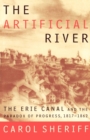 Image for The Artificial River