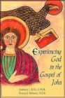Image for Experiencing God in the Gospel of John