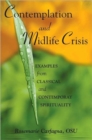 Image for Contemplation and Midlife Crisis : Examples from Classical and Contemporary Spirituality
