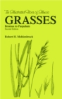 Image for Grasses  Bromus to Paspaulum
