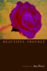 Image for Beautiful trouble