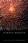 Image for Always Danger