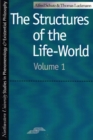 Image for The Structures of the Life World
