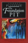 Image for The Foundation Pit