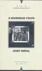 Image for A Bohemian Youth