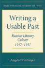 Image for Writing a Usable Past