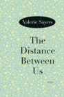 Image for The Distance Between Us : A Novel